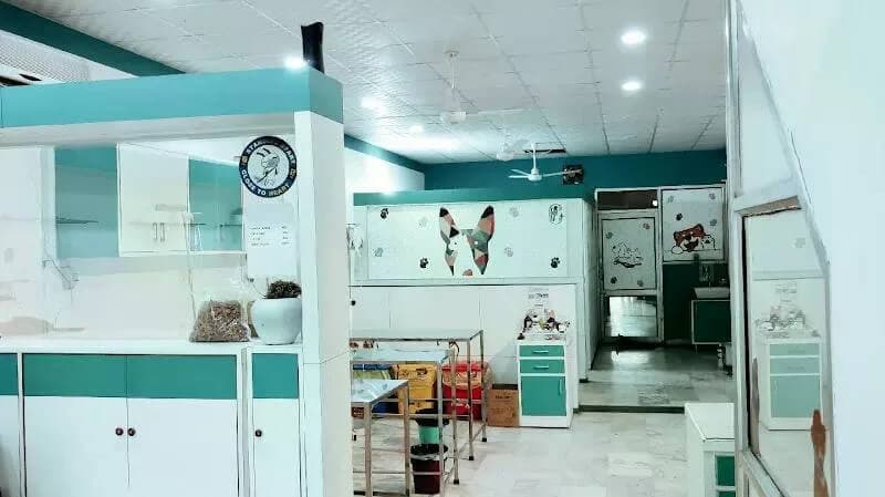 Emergency veterinary care for dogs and cats at GreenCoatVets in Mohali