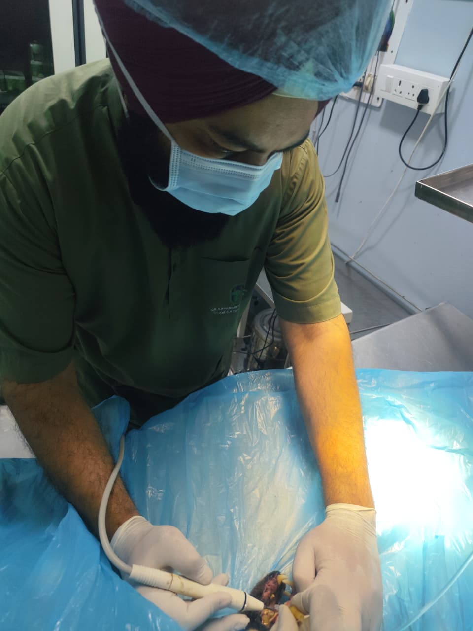 Veterinary surgical team preparing a pet for soft tissue surgery at GreenCoatVets in Mohali