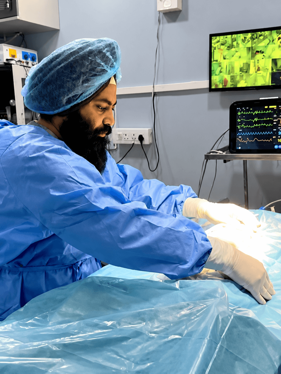 Veterinarian performing a surgical procedure on a pet